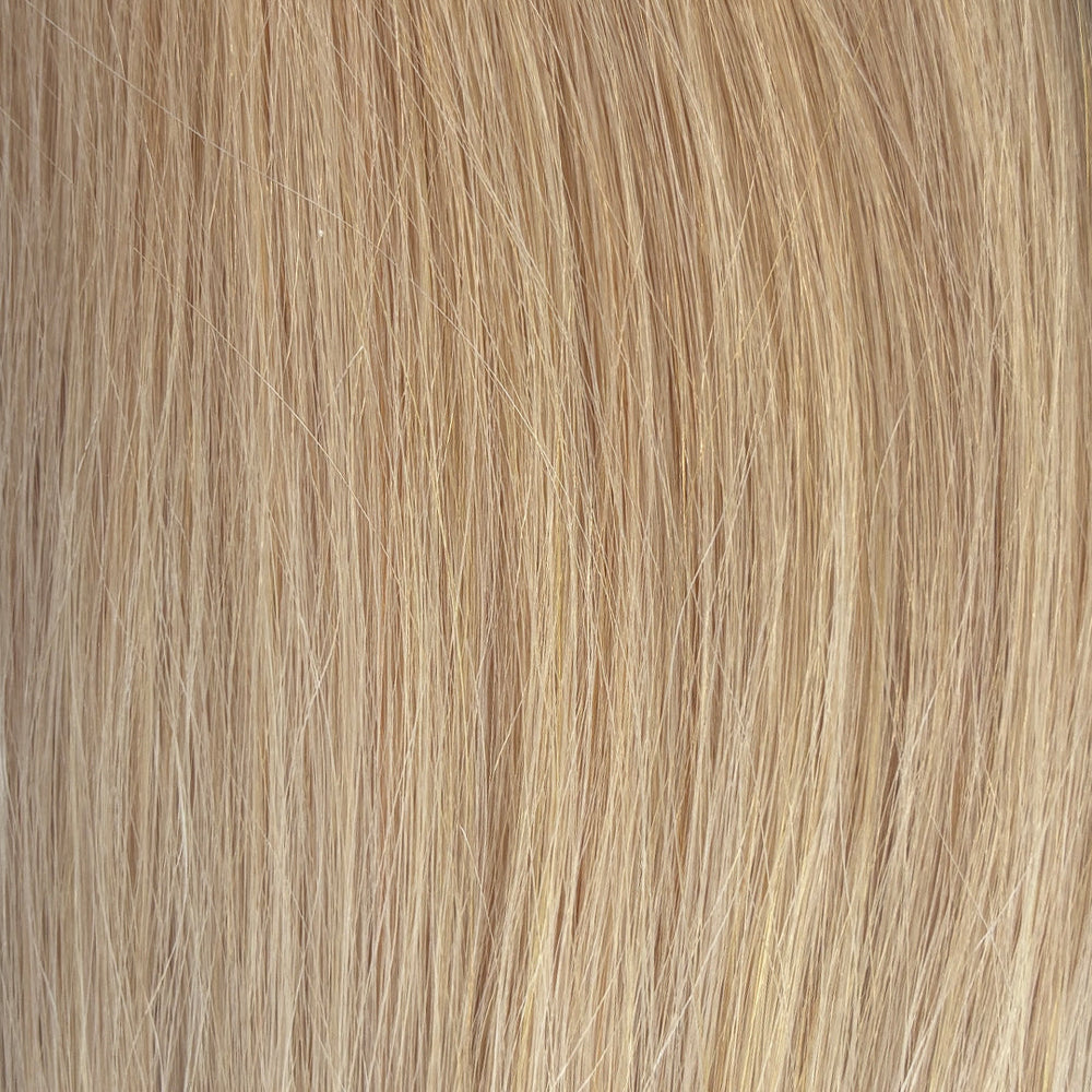 Sugar Cookie Blonde